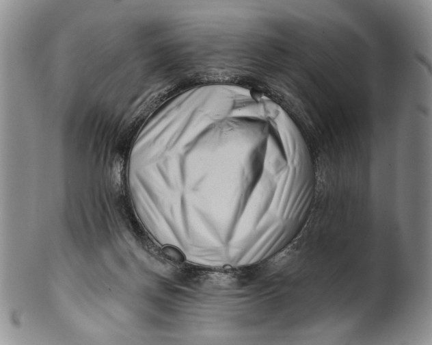 X0000100750166200807101712