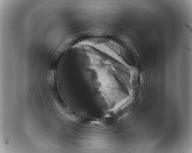 X0000100750167200807101712