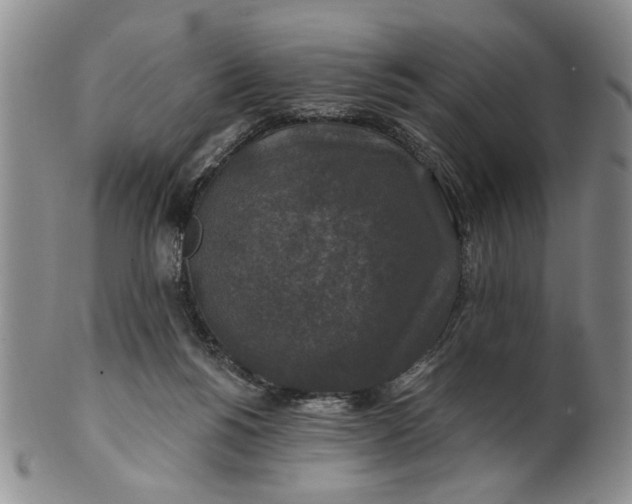 X0000100750168200807101712