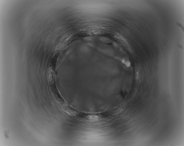 X0000100750169200807101712