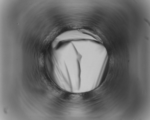 X0000100750170200807101712