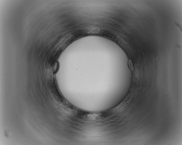 X0000100750172200807101712