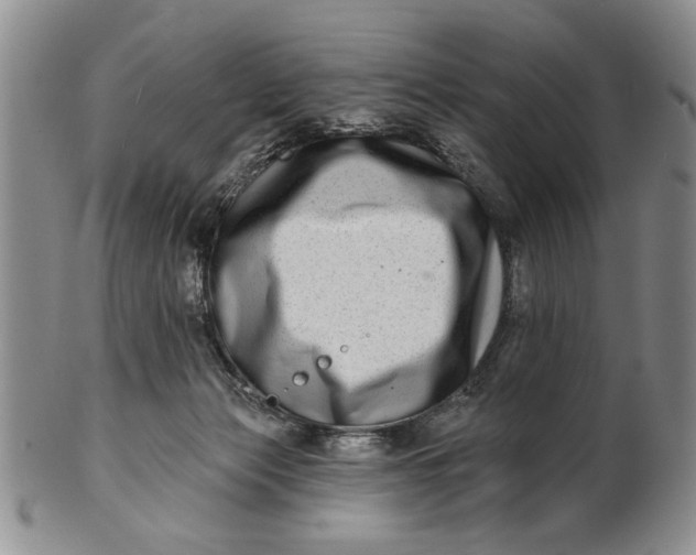 X0000100750173200807101712