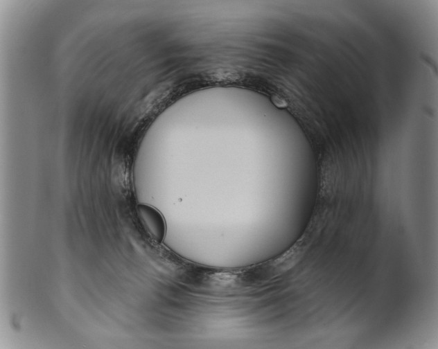 X0000100750176200807101712