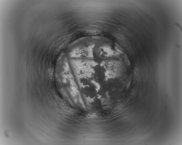 X0000100750177200807101712