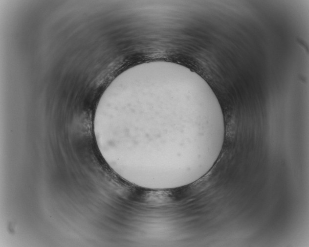 X0000100750179200807101712