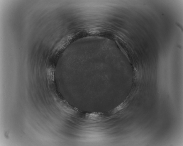 X0000100750180200807101712