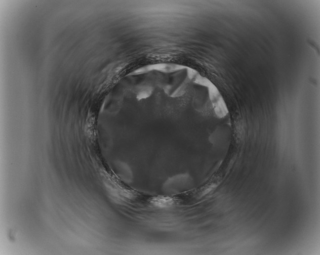 X0000100750181200807101712