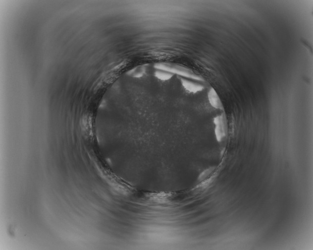 X0000100750182200807101712