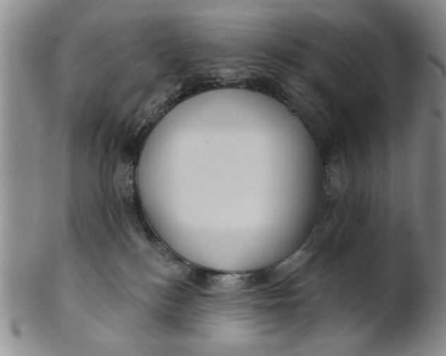 X0000100750184200807101712