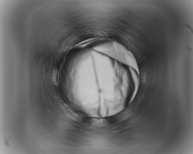 X0000100750185200807101712