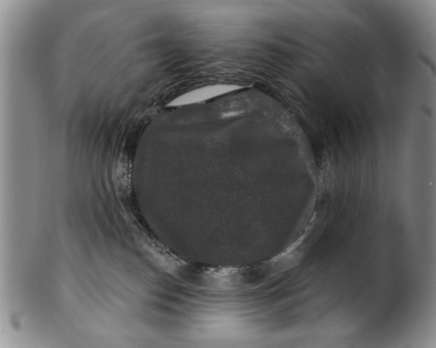 X0000100750186200807101712