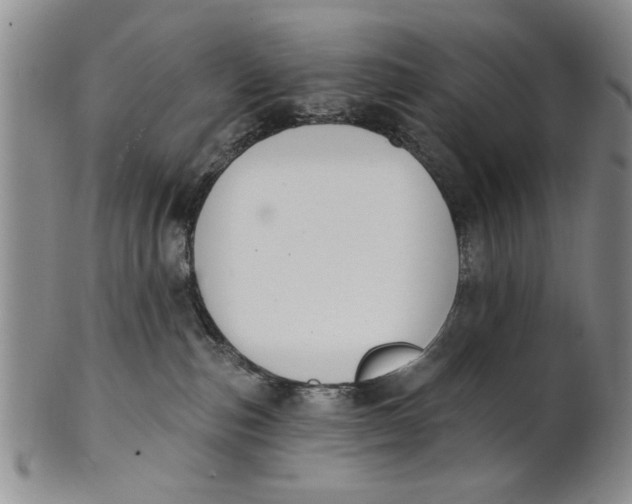 X0000100750187200807101712