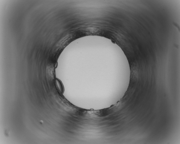 X0000100750188200807101712