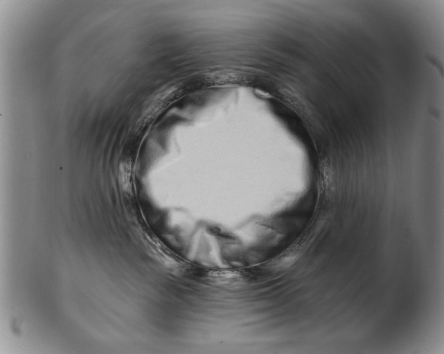 X0000100750189200807101712