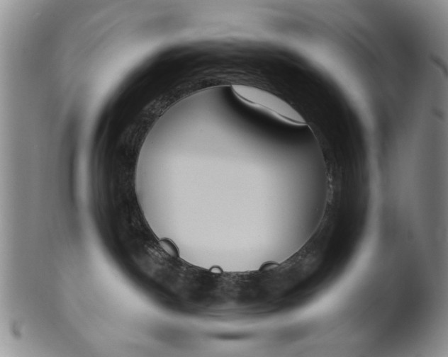 X0000100750190200807101712