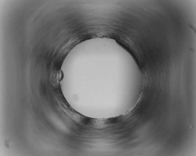 X0000100750191200807101712