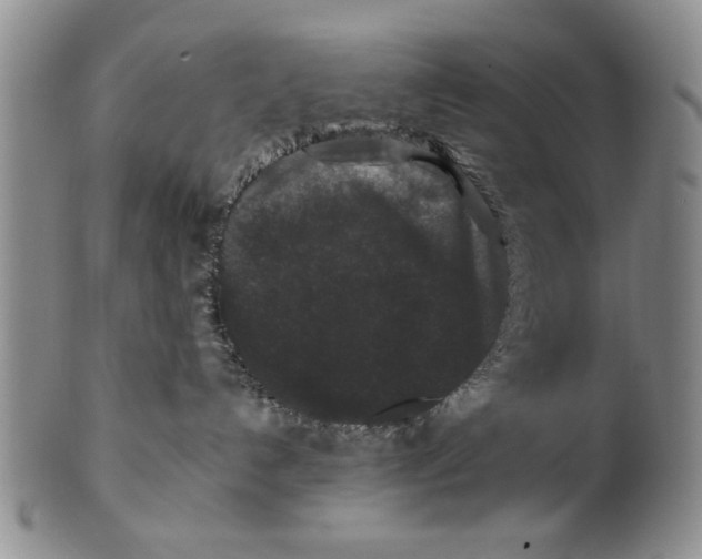 X0000100750192200807101712