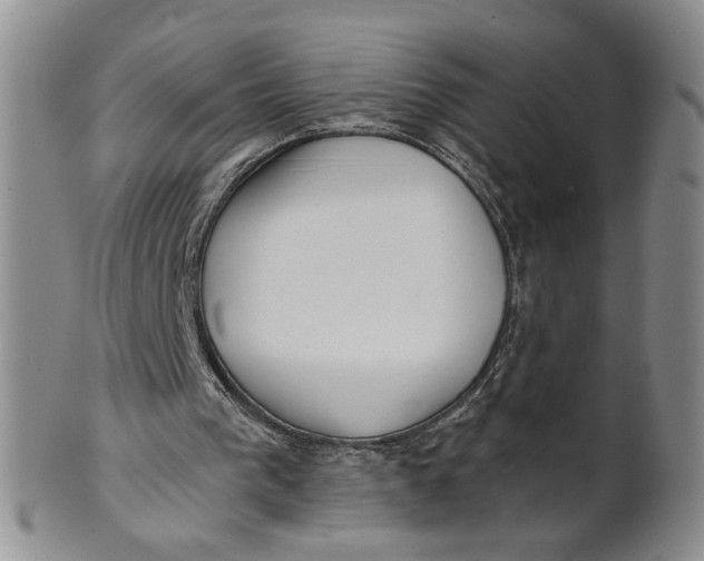 X0000100750193200807101712