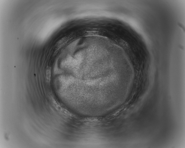 X0000100750194200807101712