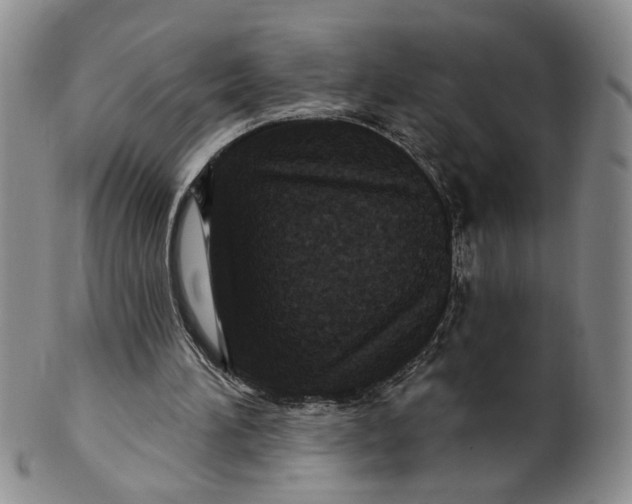 X0000100750196200807101712