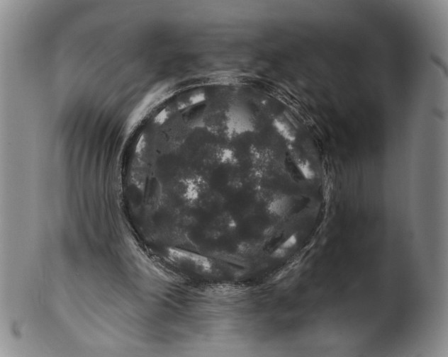 X0000100750198200807101712