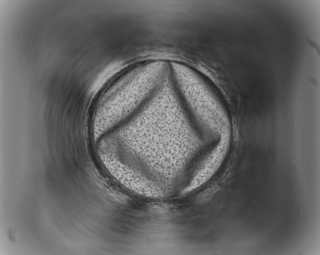 X0000100750199200807101712