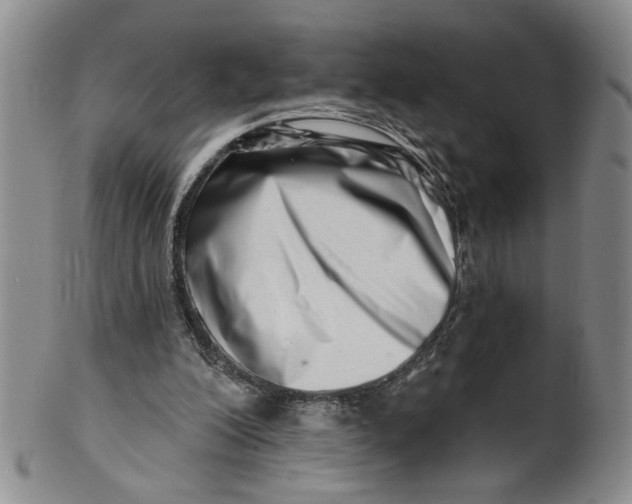 X0000100750200200807101712