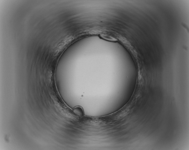 X0000100750201200807101712