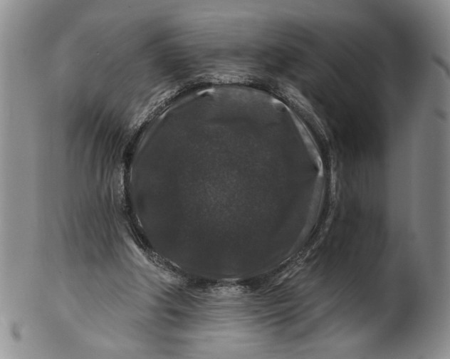 X0000100750202200807101712