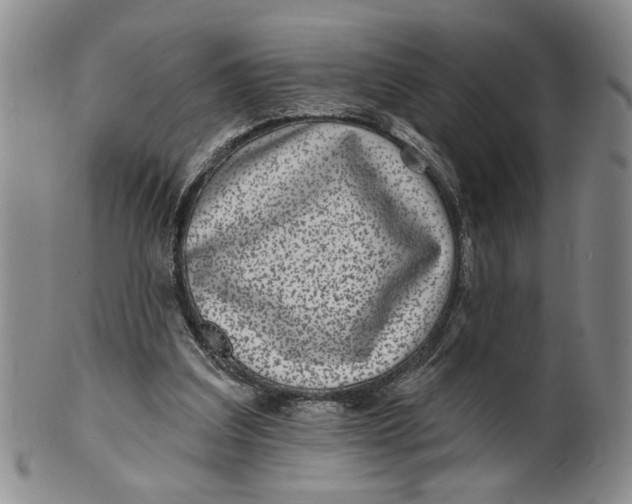 X0000100750203200807101712