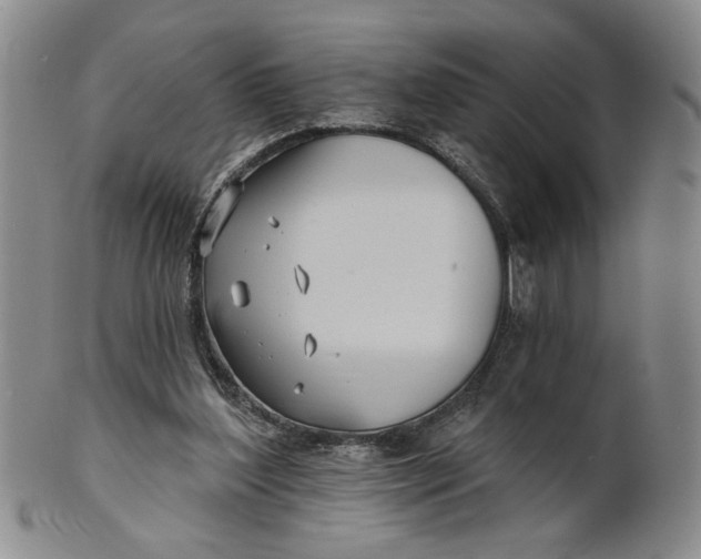 X0000100750204200807101712