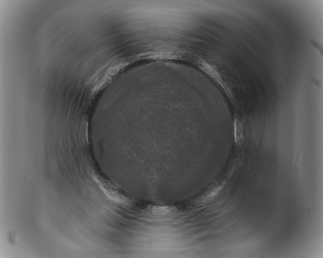 X0000100750205200807101712