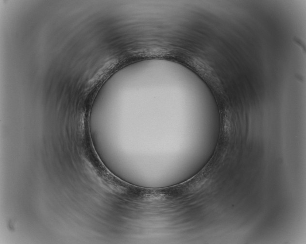 X0000100750206200807101712