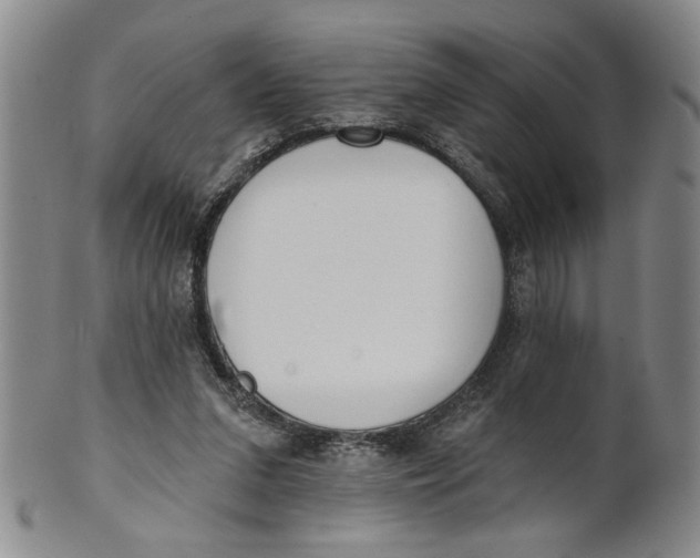 X0000100750207200807101712