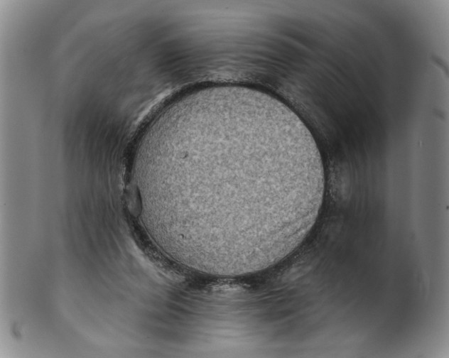 X0000100750208200807101712