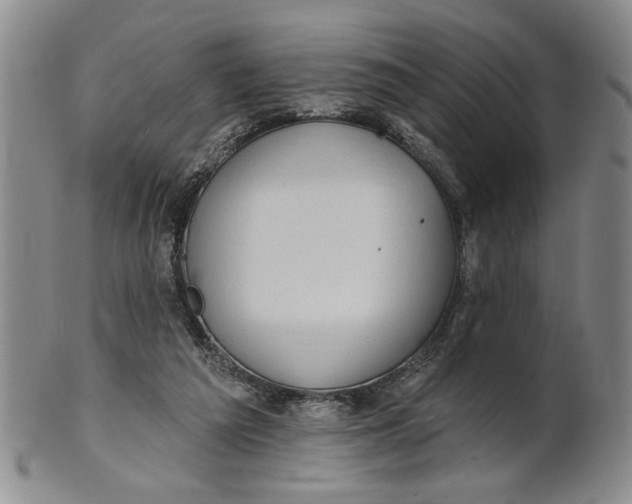 X0000100750209200807101711