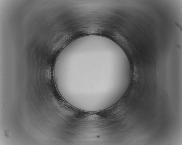 X0000100750210200807101711