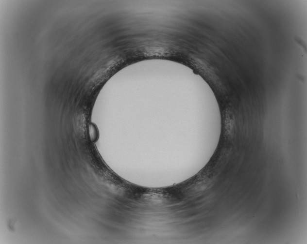 X0000100750211200807101711