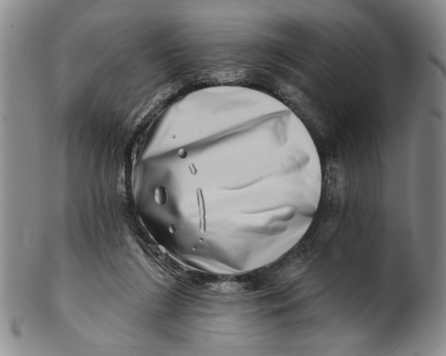 X0000100750212200807101711