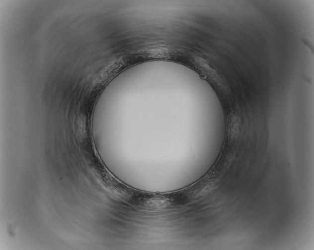 X0000100750213200807101711