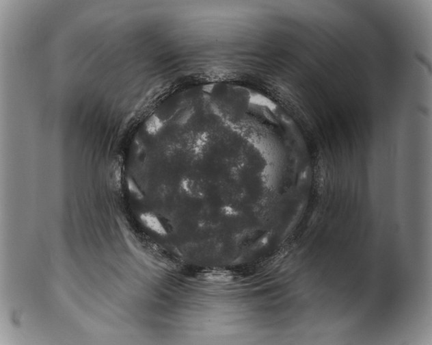 X0000100750214200807101711