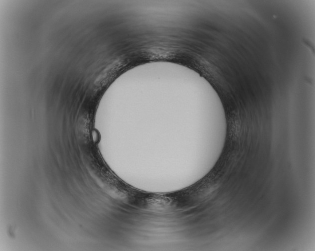 X0000100750215200807101711