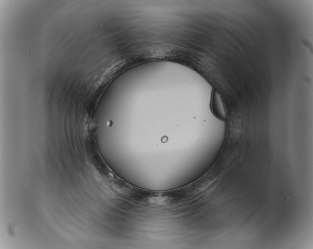 X0000100750216200807101711