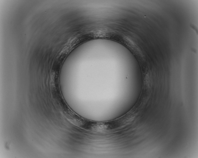 X0000100750217200807101711