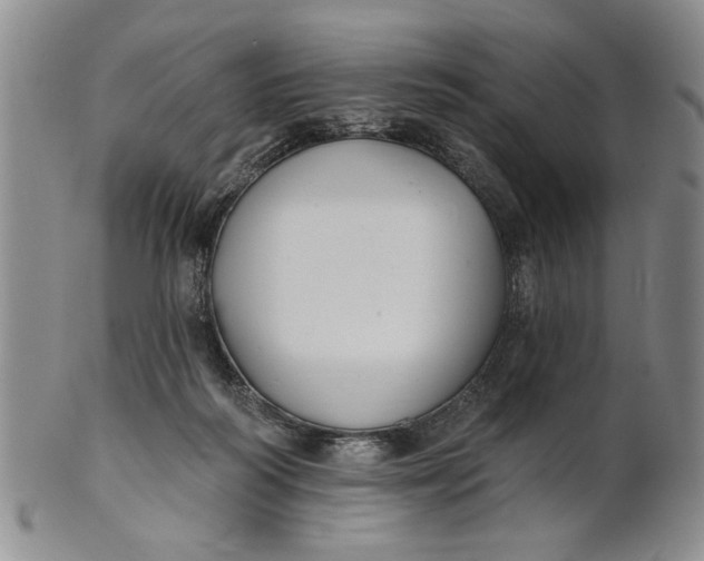 X0000100750218200807101711