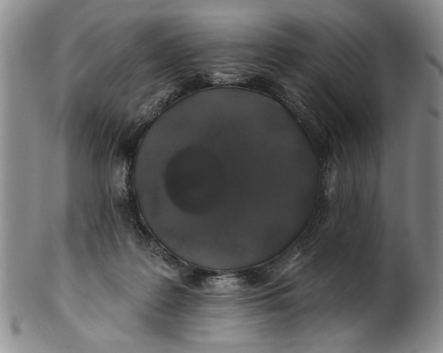 X0000100750219200807101711