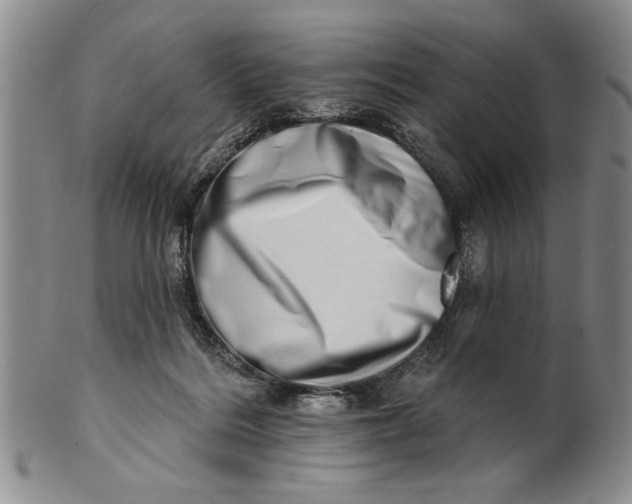 X0000100750220200807101711