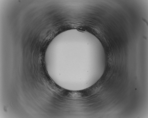 X0000100750221200807101711