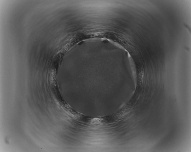 X0000100750222200807101711